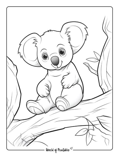 Koala Coloring Pages For Kids