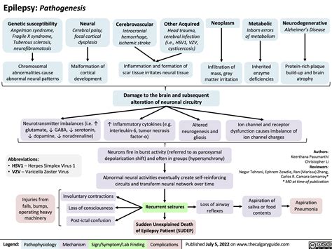Epilepsy Pathogenesis | Calgary GuideCalgary Guide