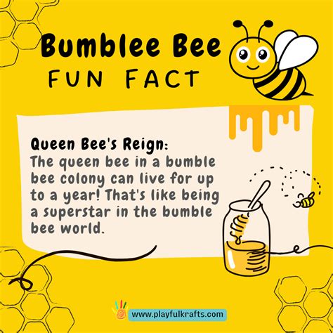 Buzzing with Fun: 10 Bumble Bee Facts Every Kid Should Know - Playful Krafts