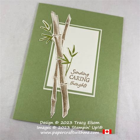 Image result for Bamboo Paper Tutorial