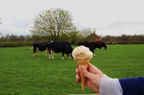 Drive through ice cream at Daisy Made – Yellowbelly Food