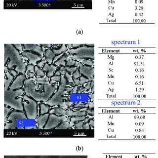 Image result for Sem Structure