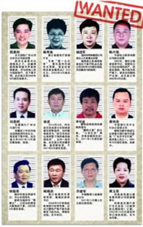 中国发布百人红色通缉令 含部分"消失"已久官员--时政--人民网