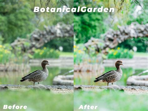 【写真用】Melbourne Lightroom Preset | Keisuke Takasawa