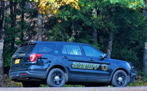 Lane County Sheriff's Office - The list of missing or unaccounted for ...