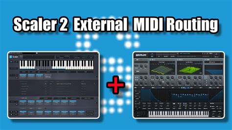 Scaler 2.9 Tutorial 的图像结果