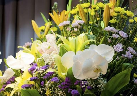 Powell Funeral Home - Funeral Homes Listings