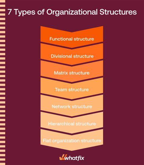 Management Structure Types 的图像结果
