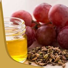 Buy Purevy Shea Body Butter Paraben Sulphate and Mineral Oil Free ...