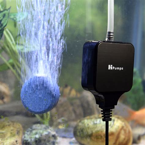 How To Set Up A Air Pump For Fish Tank at Jean Humphrey blog