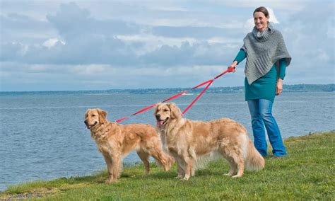 Furhaven No Tangle Two Dog Leash | Groupon Goods