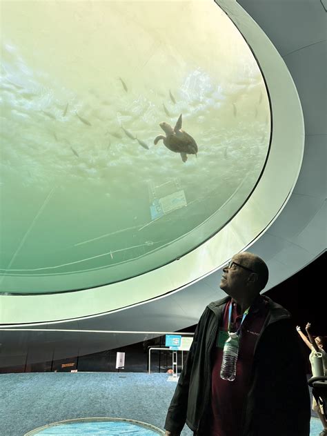 Spring 2025 Activities, Trips & Highlights - Florida PACE Centers