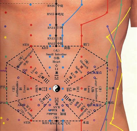 Abdominal Acupuncture chart | Acupuncture points, Accupuncture, Acupuncture