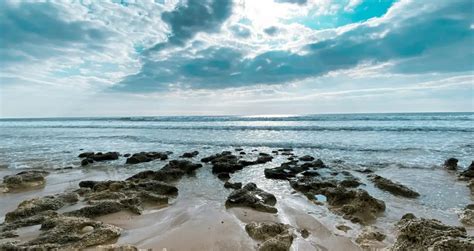 Image result for Manual Camera Guide