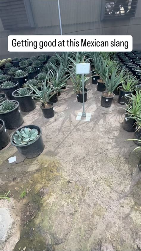 Mikey Genchi (@doinaveragestuff) • Instagram photos and videos