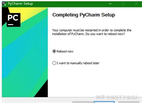 PyCharm Setup 的图像结果