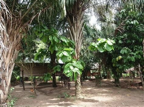 NATIVE COMMUNITY OF ESE´EJAS (2025) All You Need to Know BEFORE You Go ...