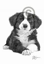 tutorial abdul kalam images pencil drawing