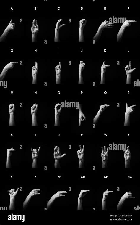 Hand Language Alphabet 的图像结果