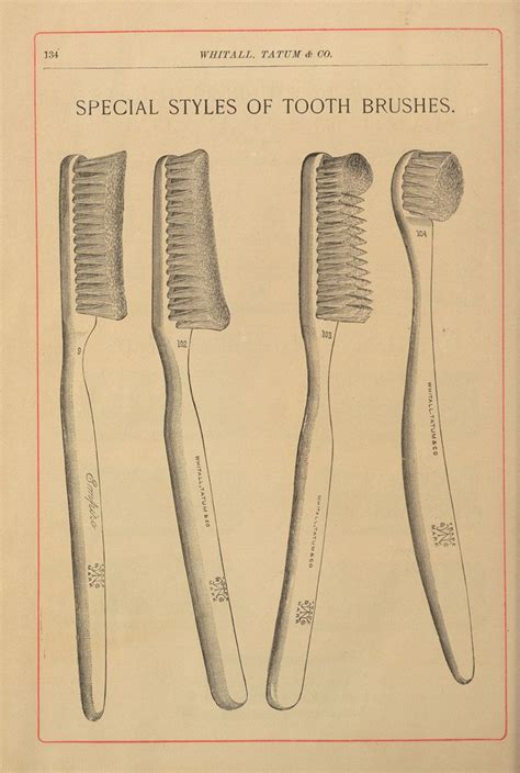 First Toothbrush 的图像结果