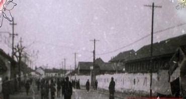 1952年，河南信阳专区干部学校全体同志合影老照片_西府旧藏_孔夫子旧书网