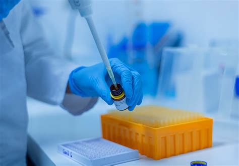 Image result for Pre Formulation