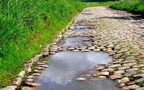 Image result for Paris-Roubaix Cobble Logo