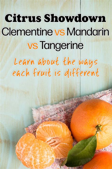 Sapote Fruit: Varieties, Facts & Surprising Health Benefits