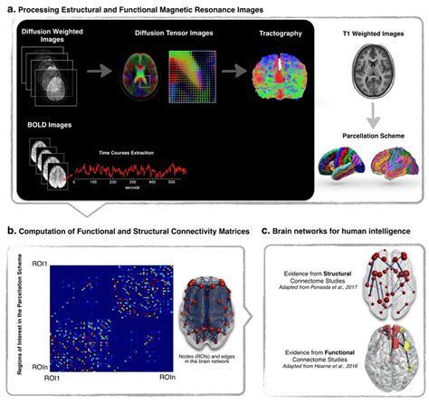 Image result for Basic Analytic