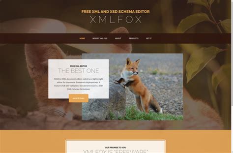Image result for FirstObject XML Editor