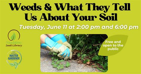 Weeds and What They Tell Us About Our Soil, Yankton Community Library ...