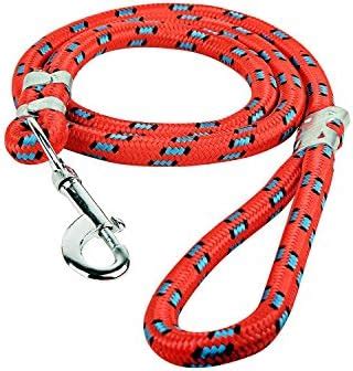 Foodie Puppies Nylon Rope Leash for Dogs (Medium - Color May Vary ...