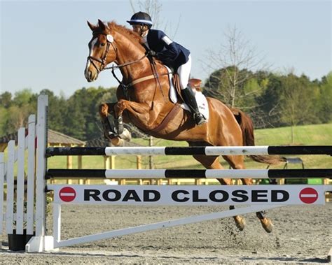 Chattahoochee Hills Horse Trials Re-Cap