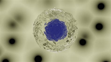 Image result for Blender Cell Animation Tutorial YouTube