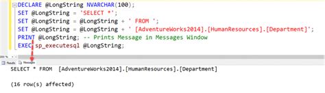 Execute SQL Script 的图像结果