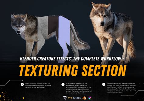Image result for Texturing Basic
