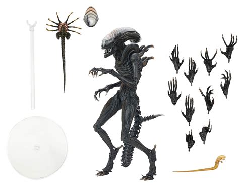 NECA Alien : Romulus 7" Scale Action Figure-Ultimate Scorched Xenomorph ...