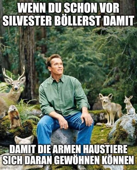 Die 20+ besten Silvester-Memes - Schlechte Witze
