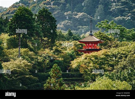 Japan Temple 的图像结果