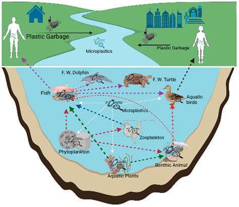 Microplastics as Emerging Contaminants: Challenges in Inland Aquatic ...