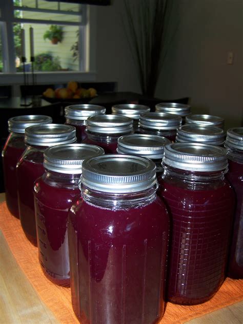 livin' the dream: amazingly easy grape juice......my secret recipe