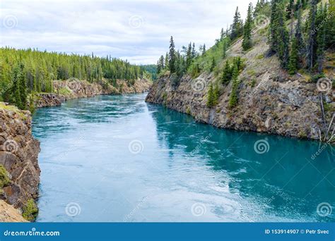 Yukon River Near Whitehorse, Canada Stock Image - Image of travel ...