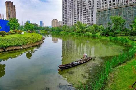 杭州建起全国首个城市河道国家级标准，棒棒的！_浙江频道_凤凰网