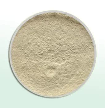 Guar Gum and Cassia Gum Manufacturer and Exporter India
