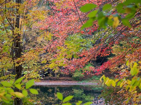 @piper-quinn on Tumblr