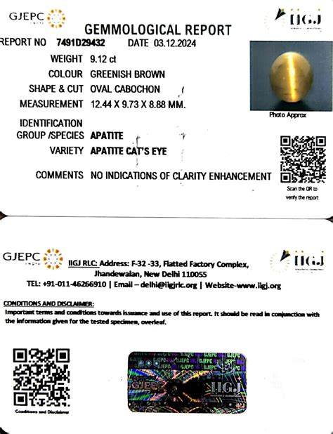 9.12/CT Natural Apatite Cat's Eye with Govt. Lab certificate-1221 | Gem ...