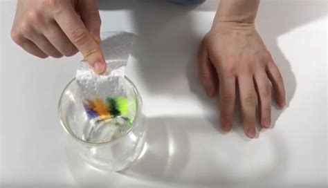 Crazy Science Experiments 的图像结果