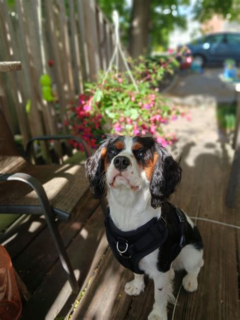 Image result for Ruby Rue