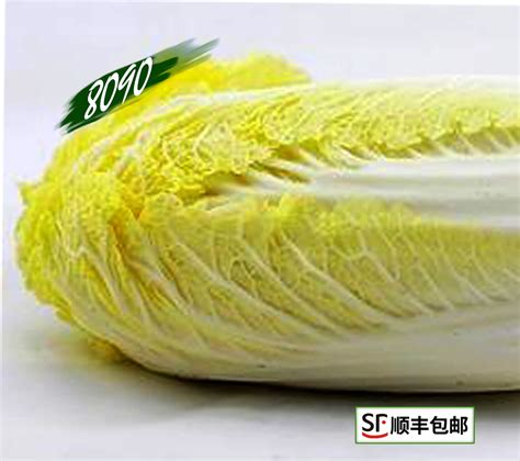 蔬菜种类名称大全_蔬菜知识大全 - 深圳佳惠鲜农副产品配送有限公司