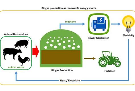 Latest News, Features, Interviews, Analysis, Opinion, Blogs & Videos ...